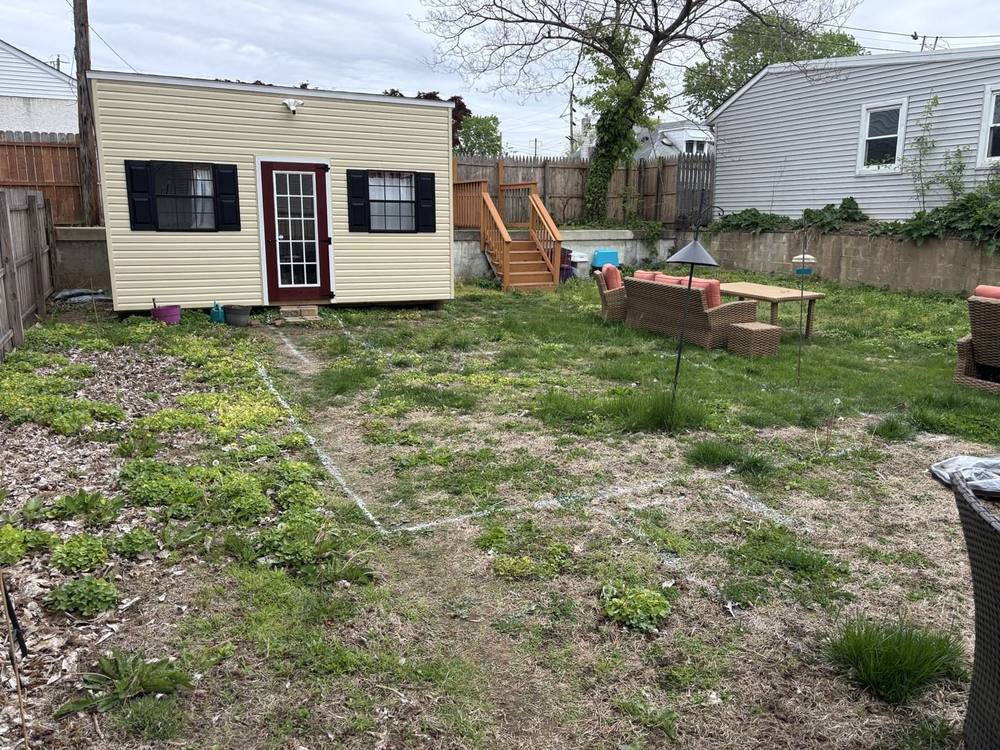 Backyard before: patchy grass and weeds